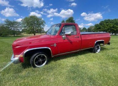 Vente Chevrolet C10 Occasion