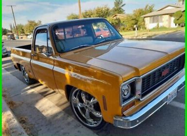 Vente Chevrolet C10 Occasion