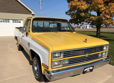 Achat Chevrolet C10 Occasion