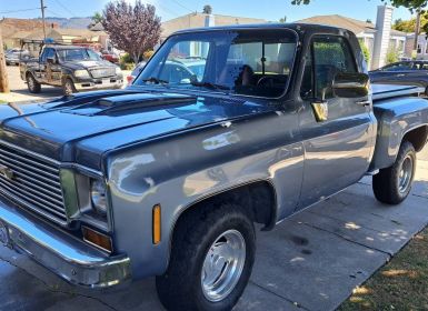 Achat Chevrolet C10 Occasion