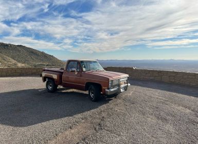 Achat Chevrolet C10 Occasion