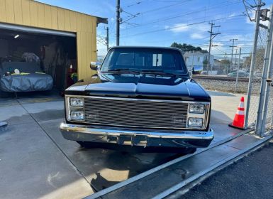 Achat Chevrolet C10 Occasion