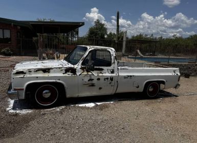 Achat Chevrolet C10 Occasion