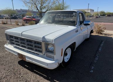 Achat Chevrolet C10 Occasion