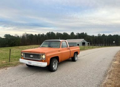 Achat Chevrolet C10 Occasion