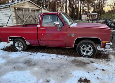 Vente Chevrolet C10 Occasion