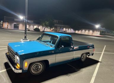 Achat Chevrolet C10 C-10  Occasion