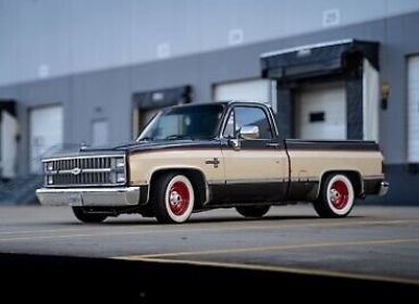 Achat Chevrolet C10 C-10  Occasion