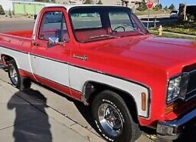 Achat Chevrolet C10 C-10  Occasion