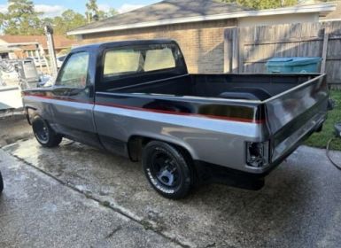 Vente Chevrolet C10 C-10  Occasion