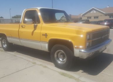 Achat Chevrolet C10 C-10  Occasion