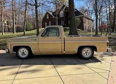 Achat Chevrolet C10 C-10  Occasion