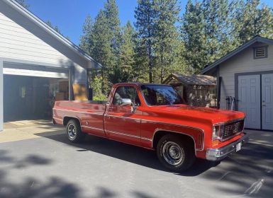 Achat Chevrolet C10 pickup  Occasion