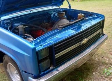 Achat Chevrolet C10 pickup  Occasion