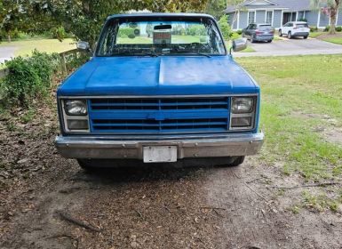 Achat Chevrolet C10 pickup  Occasion