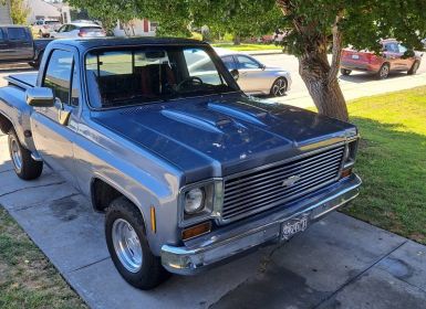 Chevrolet C10 pickup 