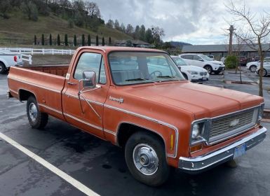 Achat Chevrolet C10 pickup  Occasion