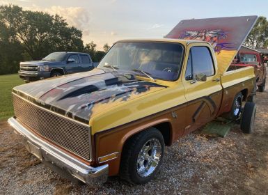 Chevrolet C10 pickup 