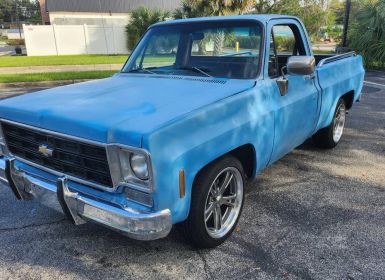 Achat Chevrolet C10 short bed pickup  Occasion