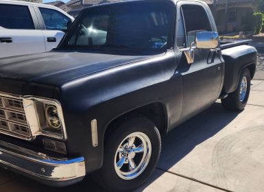 Achat Chevrolet C10 truck  Occasion