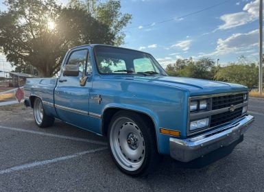 Achat Chevrolet C10 truck  Occasion