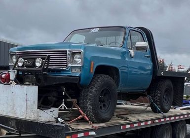 Achat Chevrolet C10 truck  Occasion