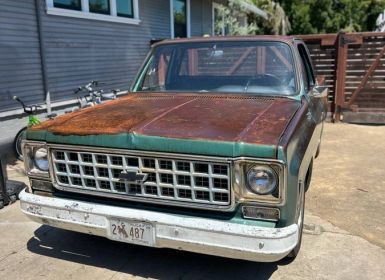 Achat Chevrolet C10 truck  Occasion