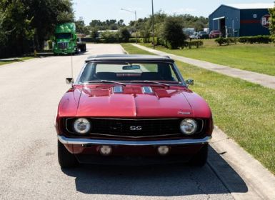 Chevrolet Camaro ss  Occasion