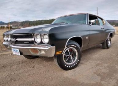 Vente Chevrolet Chevelle ss 454 ls6 numbers no rust  Occasion