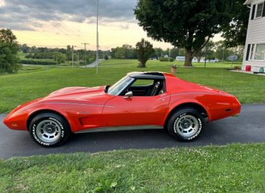 Achat Chevrolet Corvette C3 Occasion