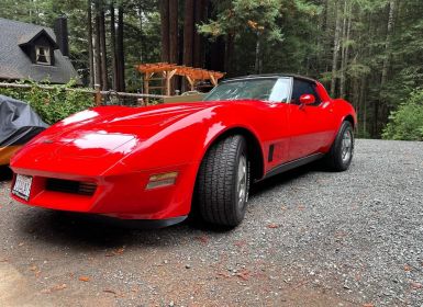 Achat Chevrolet Corvette C3 Occasion