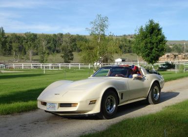 Achat Chevrolet Corvette C3 Occasion