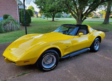 Achat Chevrolet Corvette C3 Occasion