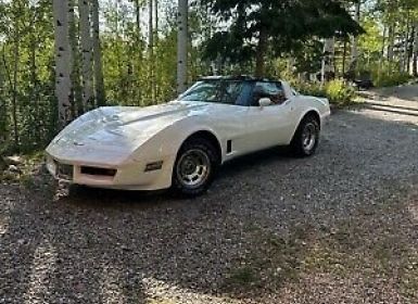 Vente Chevrolet Corvette C3 Occasion