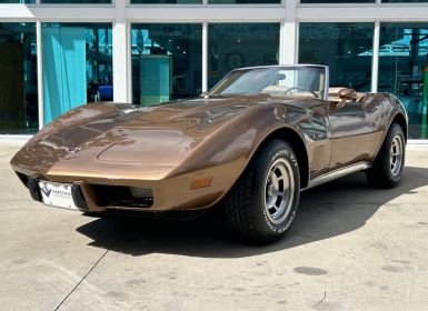 Achat Chevrolet Corvette C3 Neuf