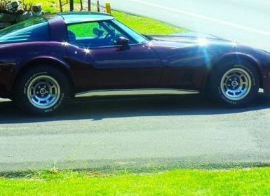 Vente Chevrolet Corvette C3 Occasion