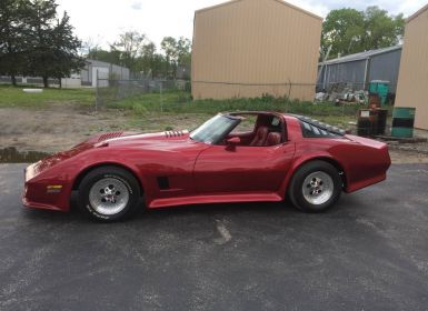 Achat Chevrolet Corvette C3 Occasion