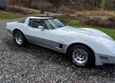 Achat Chevrolet Corvette C3 Occasion