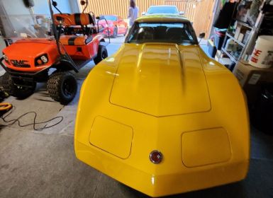 Vente Chevrolet Corvette C3 Occasion