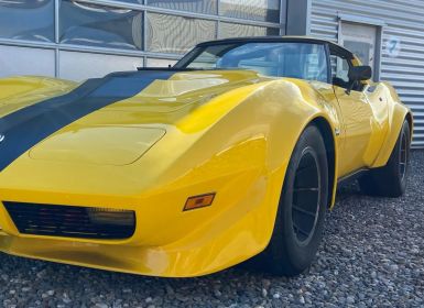 Vente Chevrolet Corvette C3 1975 8.9 LITER / 540cui - WIDEBODY H Zul. Occasion