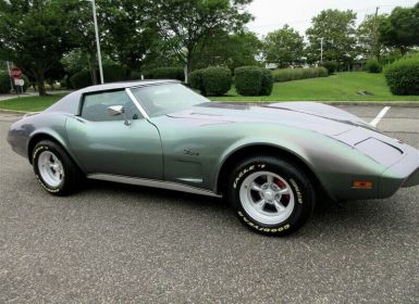 Achat Chevrolet Corvette C3 stingray l48 1975 tout compris Occasion