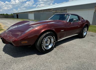 Vente Chevrolet Corvette C3 stingray l48 1976 tout compris Occasion