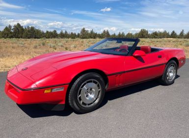 Achat Chevrolet Corvette C4 Occasion