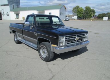 Achat Chevrolet K10 Occasion