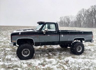 Achat Chevrolet K10 Occasion