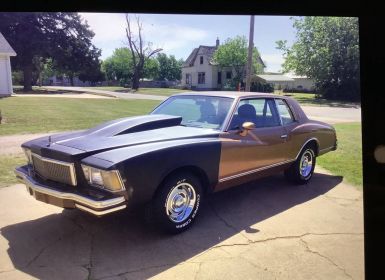 Achat Chevrolet Monte Carlo Occasion