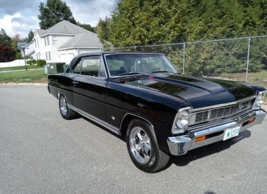 Achat Chevrolet Nova Occasion