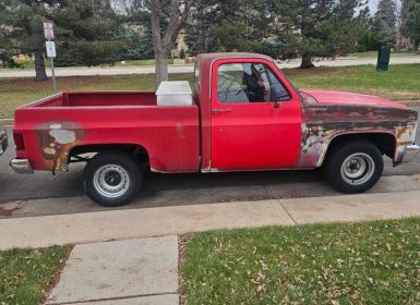 Chevrolet Pick Up R10 