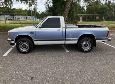 Achat Chevrolet S10 Pick-Up S-10  Occasion
