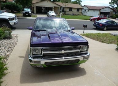 Vente Chevrolet S10 Pick-Up S-10 Occasion